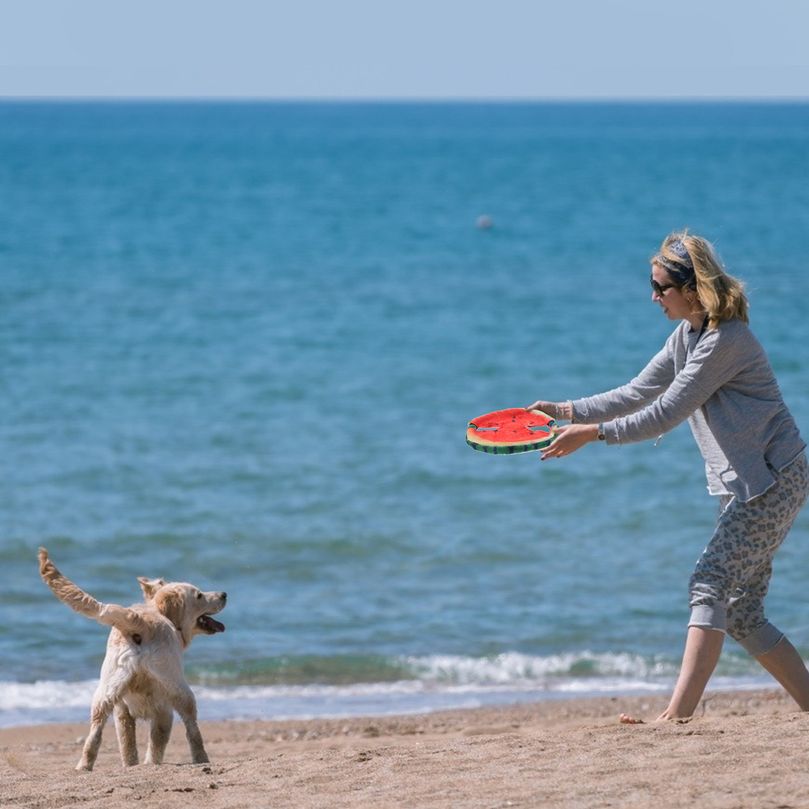 Flying Disc Dog Training Toy - 1Pcs Pet Simulated Watermelon Flying Disc