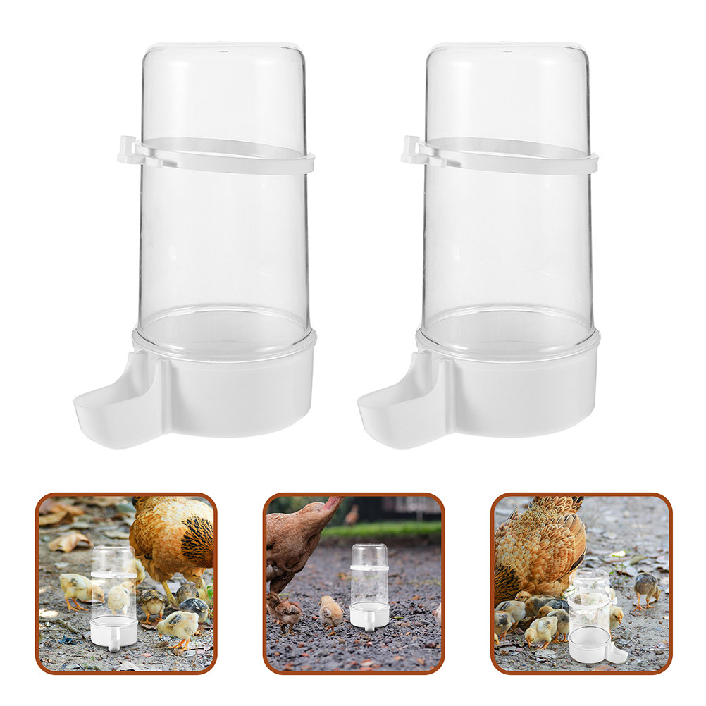 4Pcs Automatic Bird Feeder Pla - огляд і ціна Pet Feeders