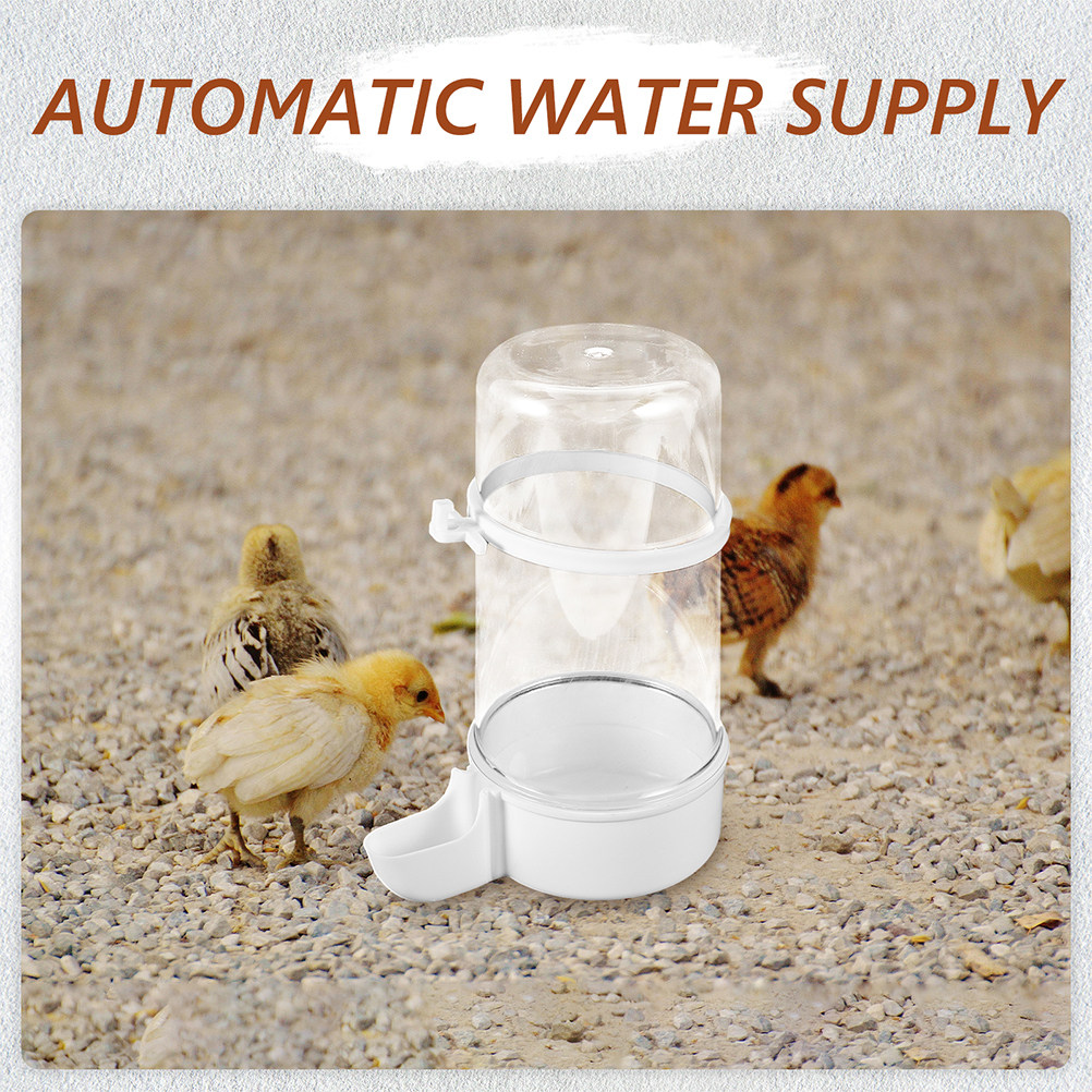 4Pcs Automatic Bird Feeder Pla - огляд і ціна Pet Feeders