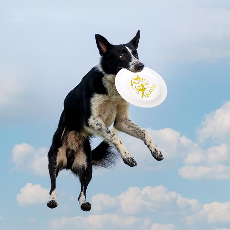 OUZEY Bite Resistant Pet Train - огляд і ціна Flying Disc Dog Training Toy
