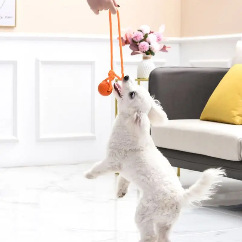 Dog Training Ball on Rope Cott - огляд і ціна Suction Cup Dog Tug Toy