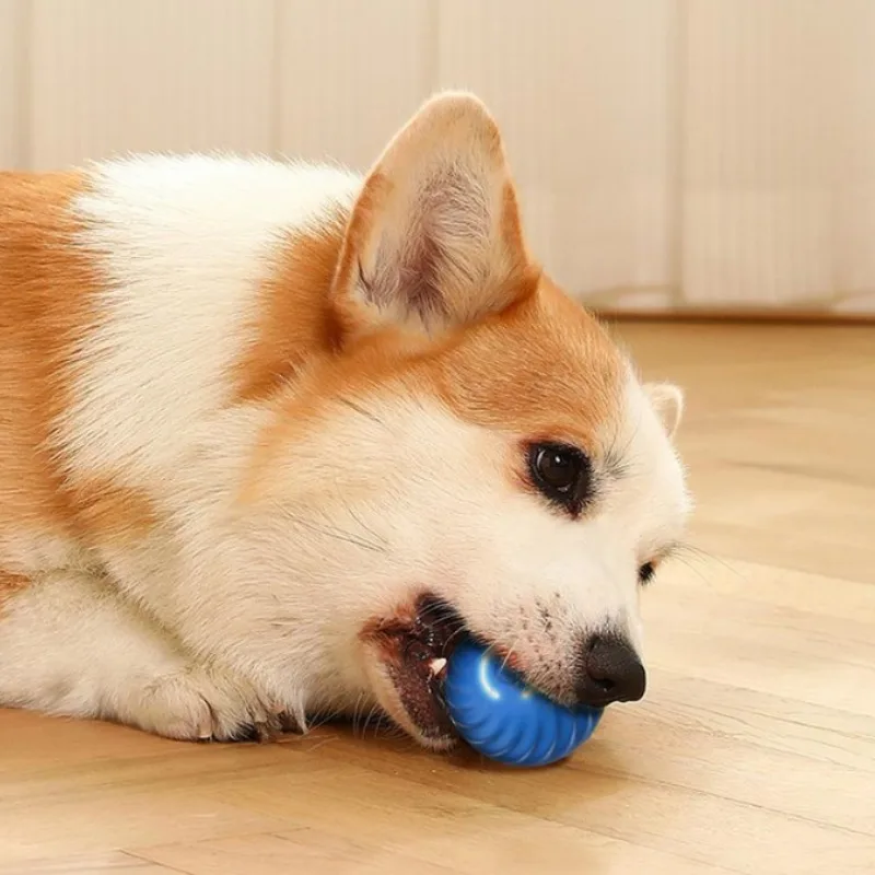 @1G-Pet Toy Ball Automatic Mov - огляд і ціна Automatic Moving Dog Ball