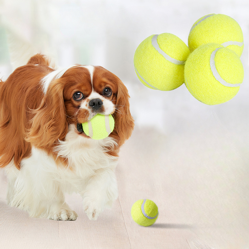 Interactive Striped Rubber Ten - огляд і ціна Interactive Squeaky Plush Dog Toy