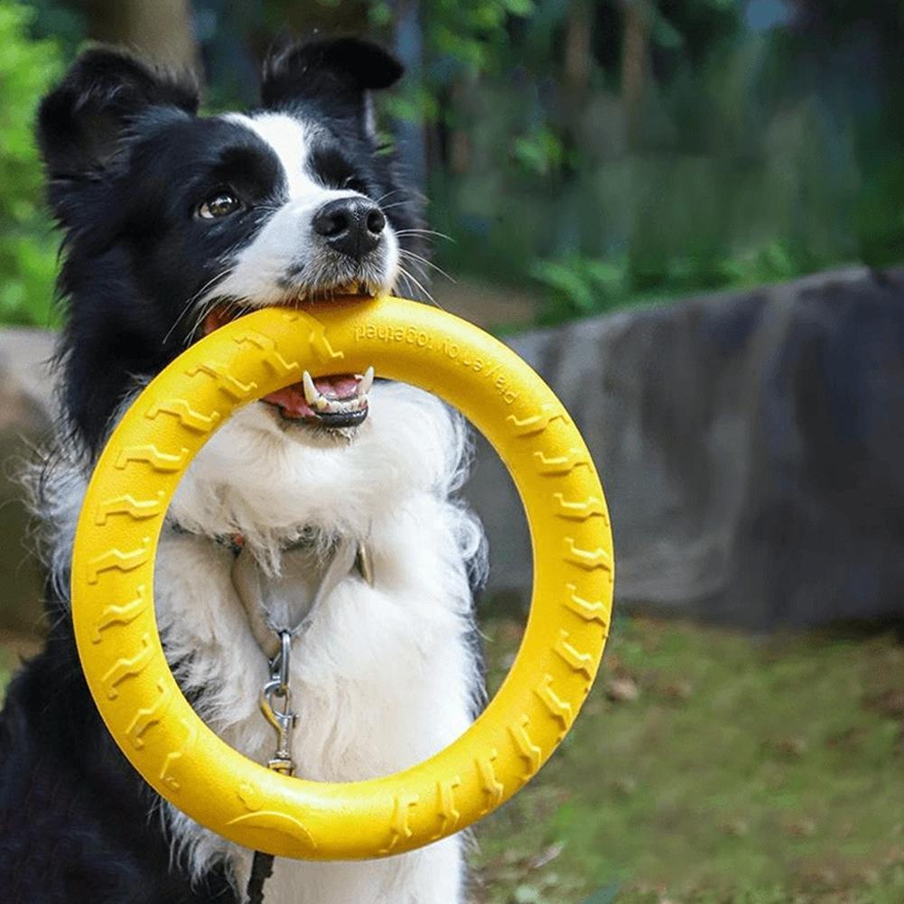 Dog Ring Toys Indestructible C - огляд і ціна Indestructible Dog Chew Toy