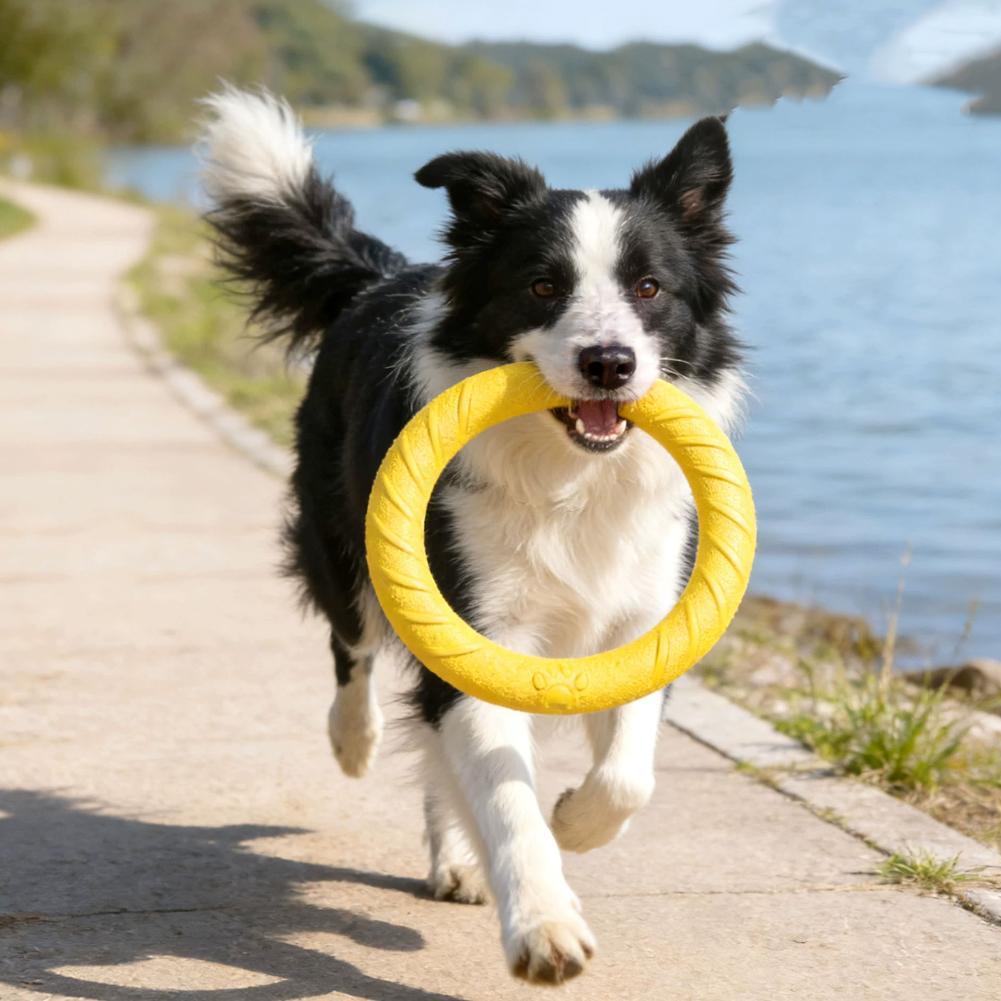 Dog Ring Toys Indestructible C - огляд і ціна Indestructible Dog Chew Toy