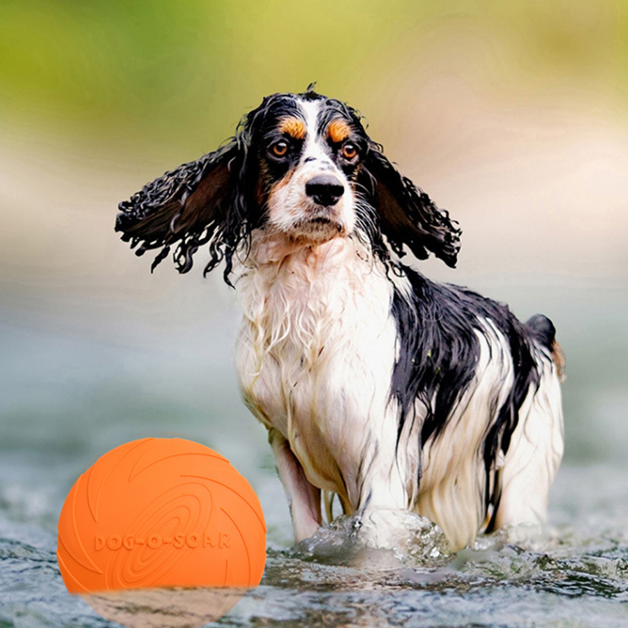 Large Dog Golden Fur Pet Flyin - огляд і ціна Flying Disc Dog Training Toy